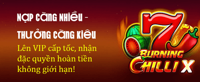 Tải App 79king Nhận Quà Khủng banner image